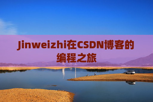 Jinweizhi在CSDN博客的编程之旅